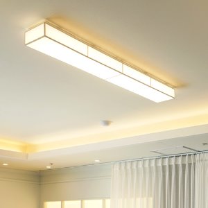 LED 모네 바리솔 주방등 50W(색변환)