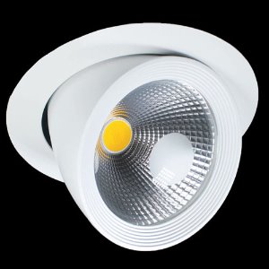 LED COB 매입등 30W (1008)